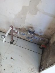 https://img.olx.com.br/thumbs256x256/91/910553402129884.jpg