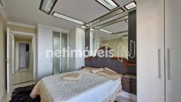 https://img.olx.com.br/thumbs256x256/91/910559391921116.jpg