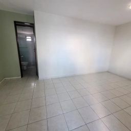 https://img.olx.com.br/thumbs256x256/91/910564505975552.jpg