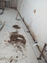 https://img.olx.com.br/thumbs256x256/91/911500643559630.jpg