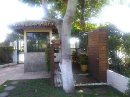 https://img.olx.com.br/thumbs256x256/91/911557647519575.jpg