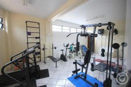 https://img.olx.com.br/thumbs256x256/91/911563769840680.jpg
