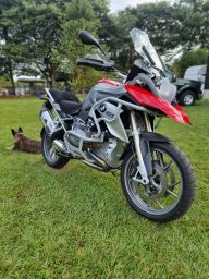 https://img.olx.com.br/thumbs256x256/91/911569644473798.jpg