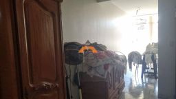 https://img.olx.com.br/thumbs256x256/91/911585160982976.jpg