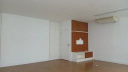 https://img.olx.com.br/thumbs256x256/91/911686785957656.jpg