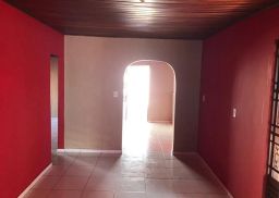 https://img.olx.com.br/thumbs256x256/91/912532638008672.jpg