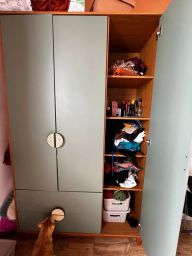https://img.olx.com.br/thumbs256x256/91/912599393258307.jpg
