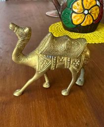 https://img.olx.com.br/thumbs256x256/91/912602686125772.jpg