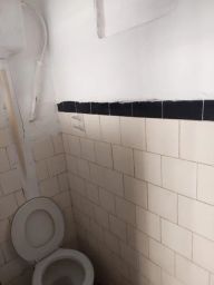 https://img.olx.com.br/thumbs256x256/91/913459676502522.jpg