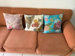 https://img.olx.com.br/thumbs256x256/91/913507856384501.jpg