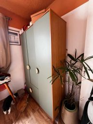 https://img.olx.com.br/thumbs256x256/91/913546276981543.jpg