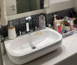 https://img.olx.com.br/thumbs256x256/91/913573046622270.jpg