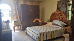 https://img.olx.com.br/thumbs256x256/91/913576765457825.jpg