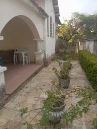 https://img.olx.com.br/thumbs256x256/91/914510761035126.jpg