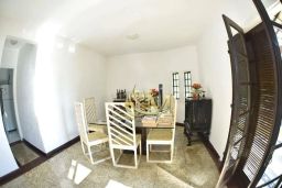 https://img.olx.com.br/thumbs256x256/91/914529876099146.jpg