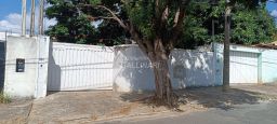 https://img.olx.com.br/thumbs256x256/91/914539164068348.jpg