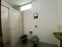 https://img.olx.com.br/thumbs256x256/91/914542288991567.jpg
