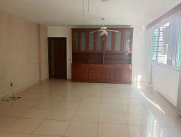 https://img.olx.com.br/thumbs256x256/91/915507648061346.jpg