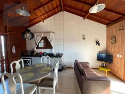 https://img.olx.com.br/thumbs256x256/91/915512872289341.jpg