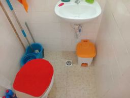 https://img.olx.com.br/thumbs256x256/91/915545744827839.jpg