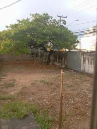 https://img.olx.com.br/thumbs256x256/91/915561289629289.jpg