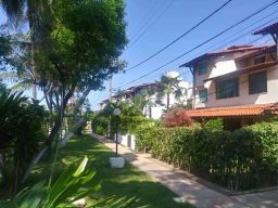 https://img.olx.com.br/thumbs256x256/91/916560280403297.jpg