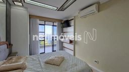 https://img.olx.com.br/thumbs256x256/91/916593752326319.jpg
