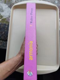 https://img.olx.com.br/thumbs256x256/91/917328337397629.jpg