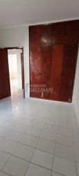 https://img.olx.com.br/thumbs256x256/91/917574524569995.jpg