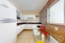 https://img.olx.com.br/thumbs256x256/91/917576288395520.jpg