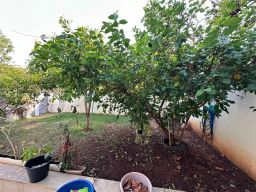 https://img.olx.com.br/thumbs256x256/91/917581163965110.jpg