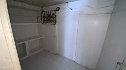 https://img.olx.com.br/thumbs256x256/91/917608793061624.jpg
