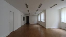 https://img.olx.com.br/thumbs256x256/91/917671668990887.jpg