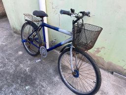 https://img.olx.com.br/thumbs256x256/91/918575506817888.jpg
