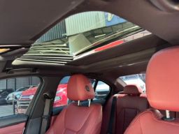 https://img.olx.com.br/thumbs256x256/91/918681896216456.jpg