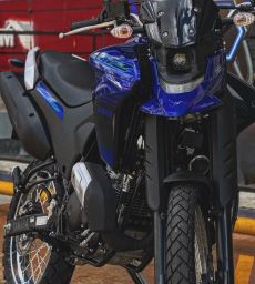 https://img.olx.com.br/thumbs256x256/91/919424357738133.jpg