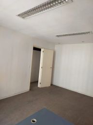 https://img.olx.com.br/thumbs256x256/91/919468213062766.jpg