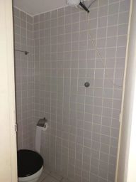 https://img.olx.com.br/thumbs256x256/91/919496579047146.jpg