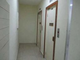 https://img.olx.com.br/thumbs256x256/91/919502384799568.jpg