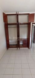 https://img.olx.com.br/thumbs256x256/91/919508407224228.jpg
