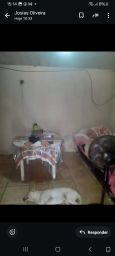 https://img.olx.com.br/thumbs256x256/91/919547272916976.jpg