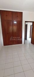 https://img.olx.com.br/thumbs256x256/91/919557766146206.jpg