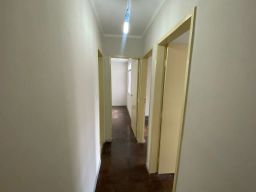 https://img.olx.com.br/thumbs256x256/91/919573521170081.jpg