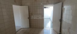 https://img.olx.com.br/thumbs256x256/91/919588642000918.jpg