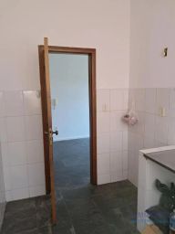 https://img.olx.com.br/thumbs256x256/91/919595044276410.jpg