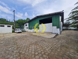 https://img.olx.com.br/thumbs256x256/91/919672551777931.jpg