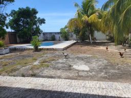 https://img.olx.com.br/thumbs256x256/92/920324713818835.jpg
