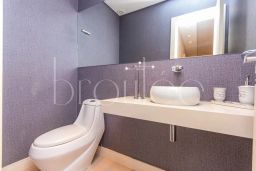 https://img.olx.com.br/thumbs256x256/92/920520526845447.jpg
