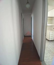https://img.olx.com.br/thumbs256x256/92/920538880655559.jpg