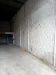 https://img.olx.com.br/thumbs256x256/92/920548162931756.jpg